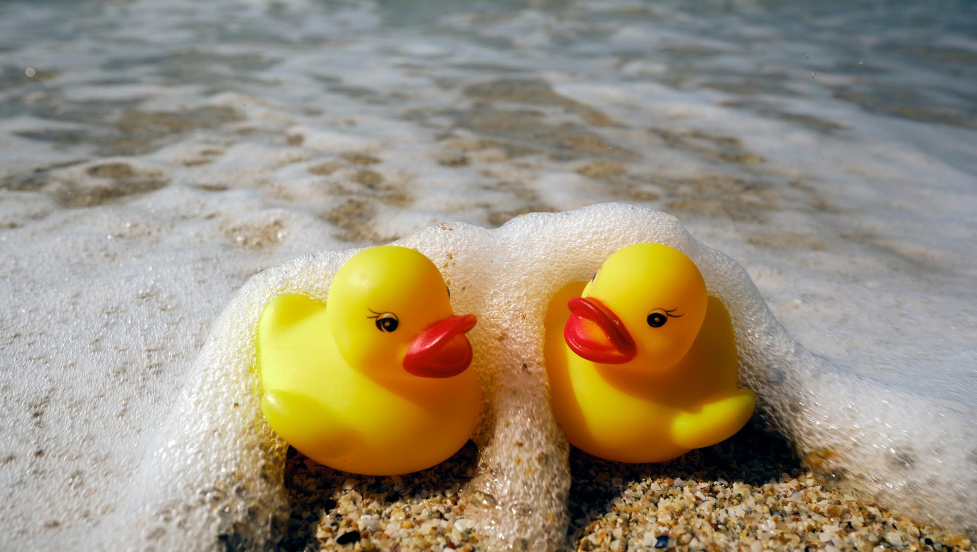 Two rubber ducks caught in a wave at the shoreline at the beach - Cashrewards.jpg