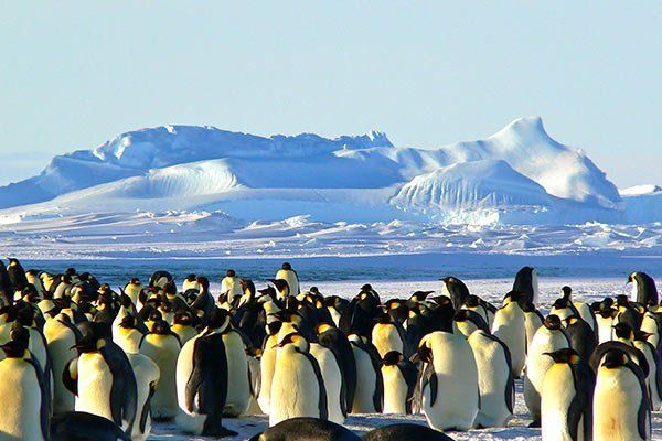 antartica-bi.jpg