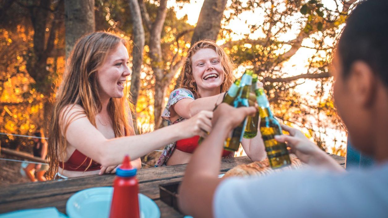 friends toasting with beer at picnic